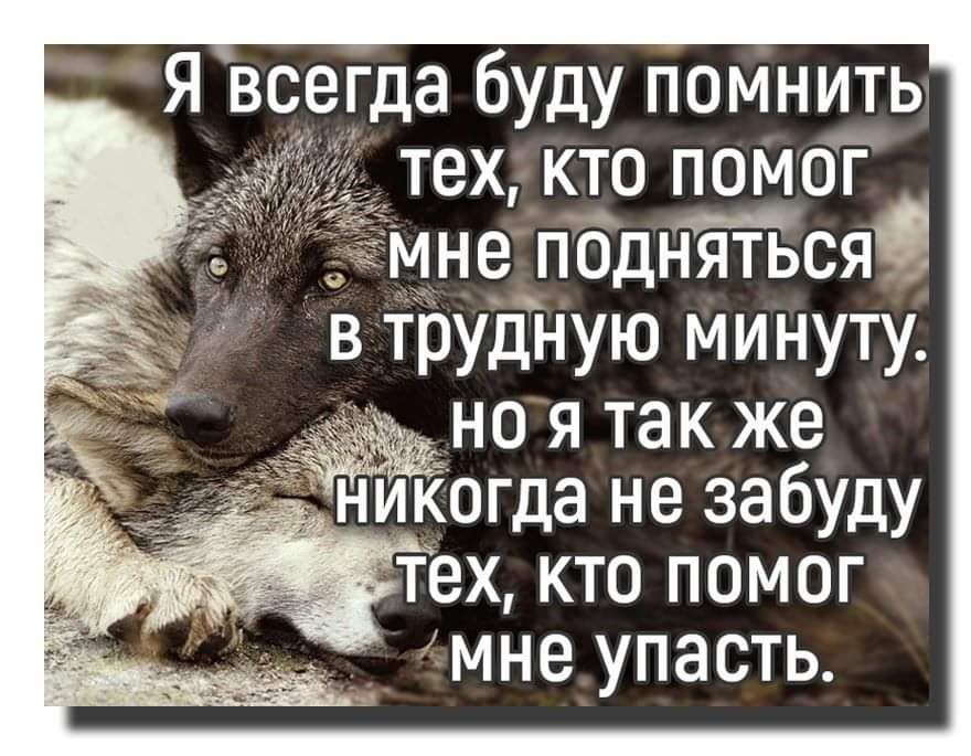 Я всегда буду помнить тех кто помог мне пбдняться в трудную минуту но я так же никогда не забуду тех кто помог мне упасть