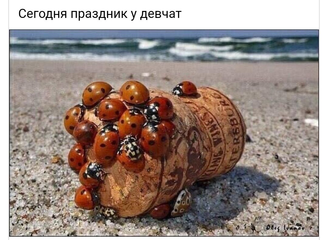 Сегодня праздник у девчат