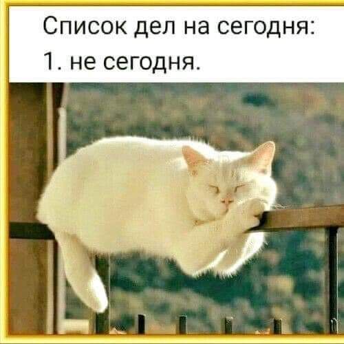 Список дел на сегодня 1 не сегодня