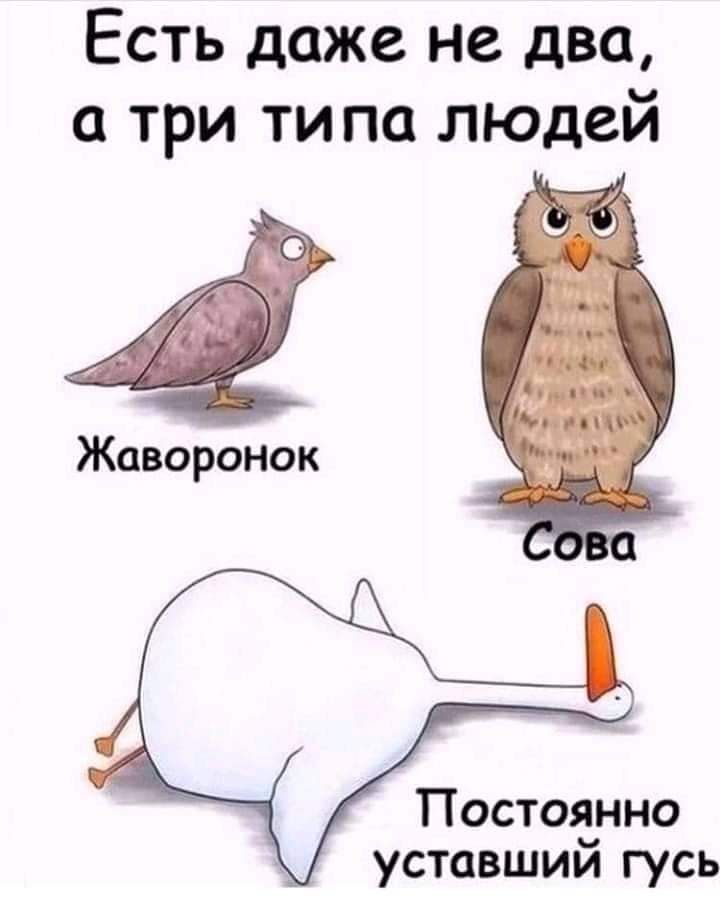 Есть даже не два а три ти па ЛЮДей Жаворонок Постоянно уставшим гусь