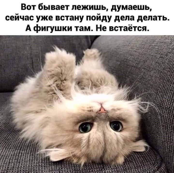 Вот бывает лежишь думаешь сейчас уже встану пойду дела делать А фигушки там Не встаётся