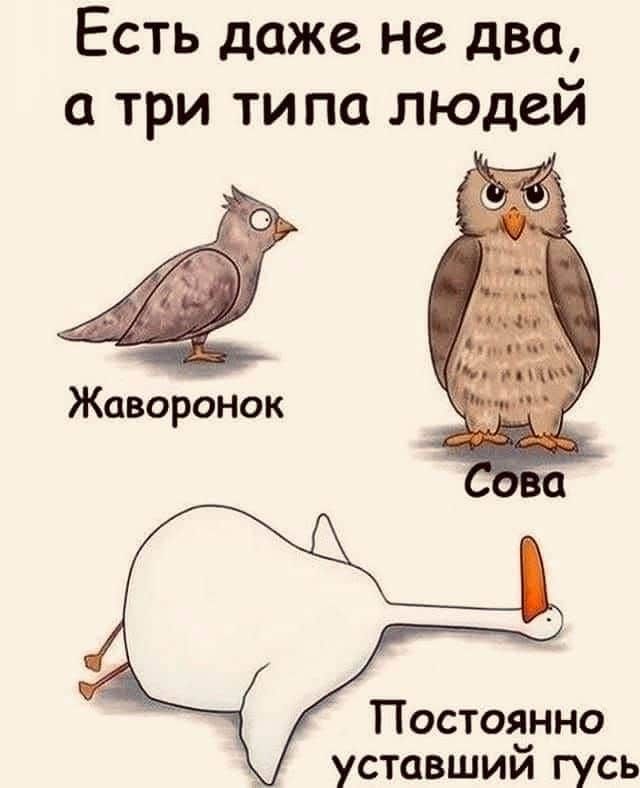 Есть даже не два а три ти па ЛЮДей д Постоянно уставшии гусь