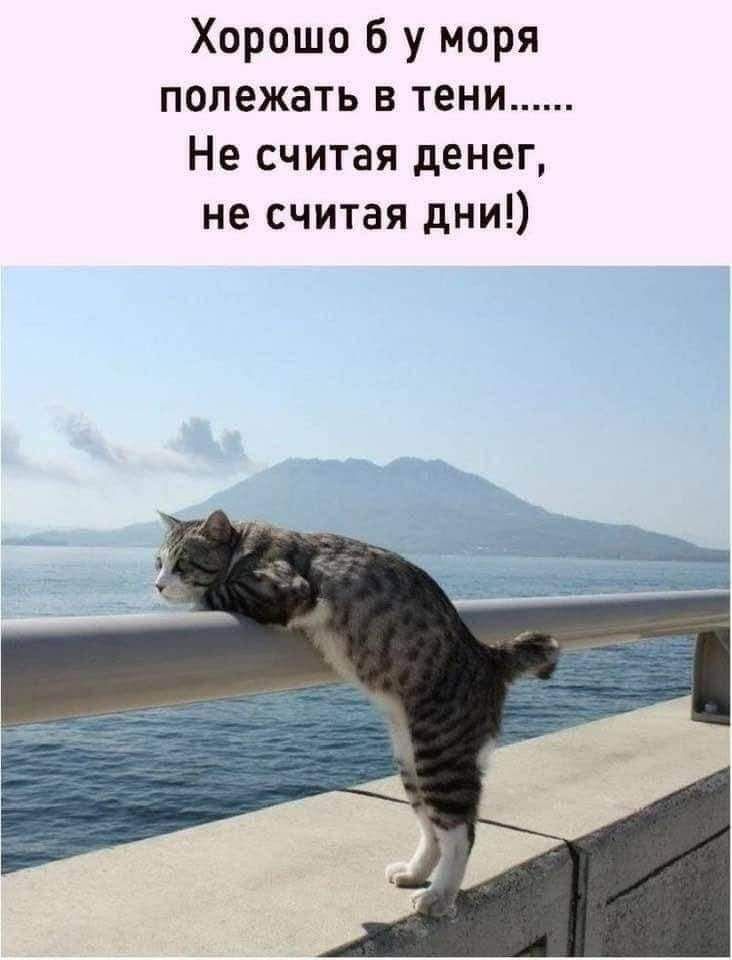 Хорошо 6 у моря полежать в тени Не считая денег не считая дни