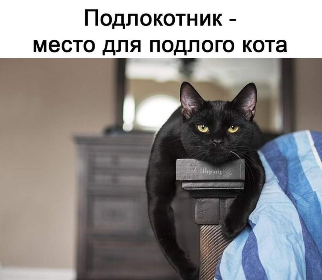 Подлокотник место для подлого кота