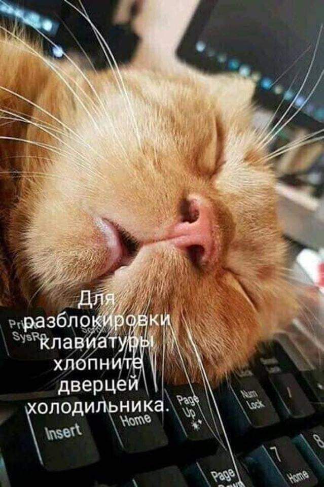 мразбл Клаа ХЛОПН дверце олодилкчцёаъж д