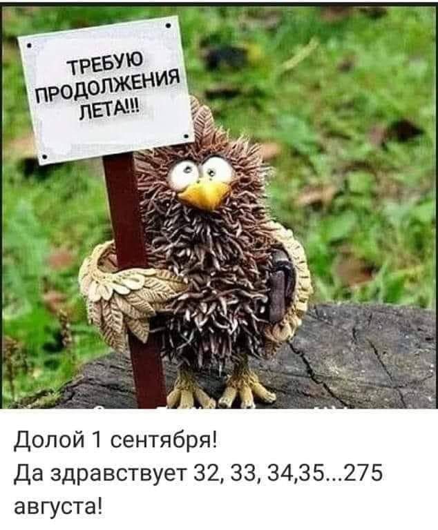 Долой 1 сентября Да здравствует 32 33 3435275 августа