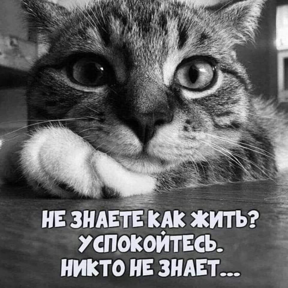 н зидвтЕкдк жить жпокоитвсь никто и знпт