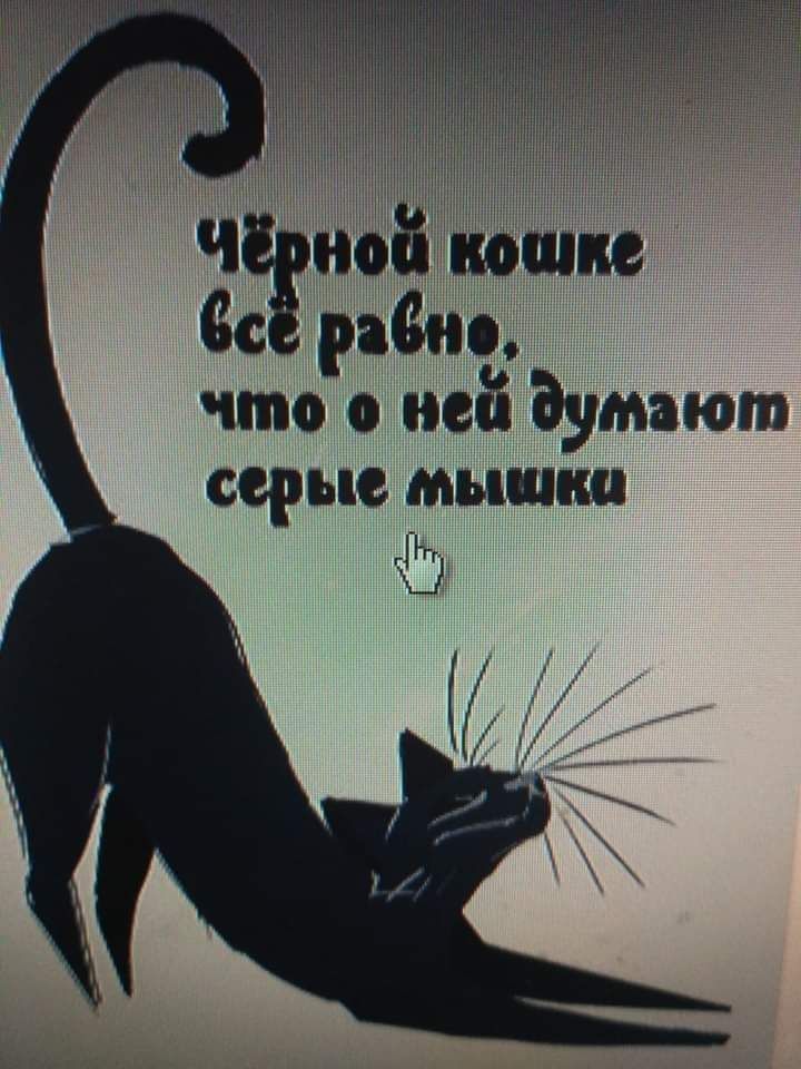 Ч ес рены что о неё думают серые мышки п
