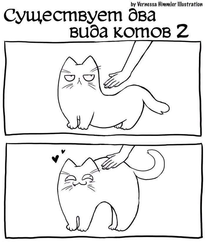 Ьу Устка Шшшш ШшгаНпи Существует два вида котов 2