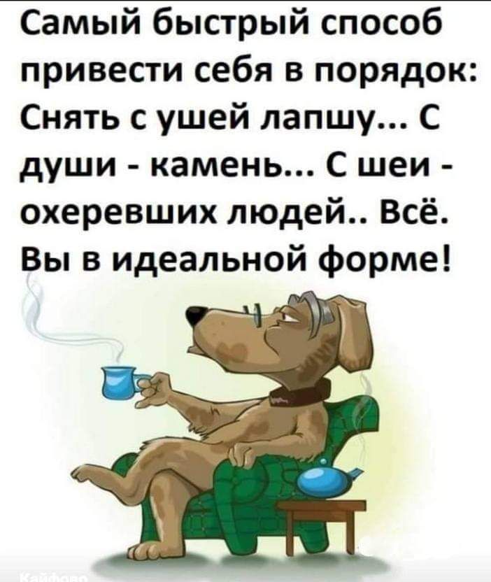 Самый быстрый способ привести себя в порядок Снять с ушей лапшу С души камень С шеи охеревших людей Всё Вы в идеальной форме