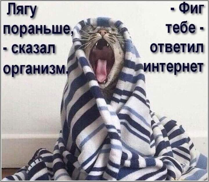 Пягу Фиг _ тебе ответим