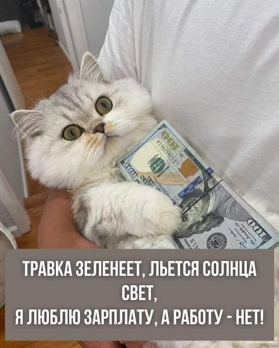 ТРАВКА 3ЕЛЕНЕЕТ ЛЬЕТСН СОЛНЦА СВЕТ Я ЛЮБЛЮ 3АРПЛАТУ А РАБПТУ НЕТ