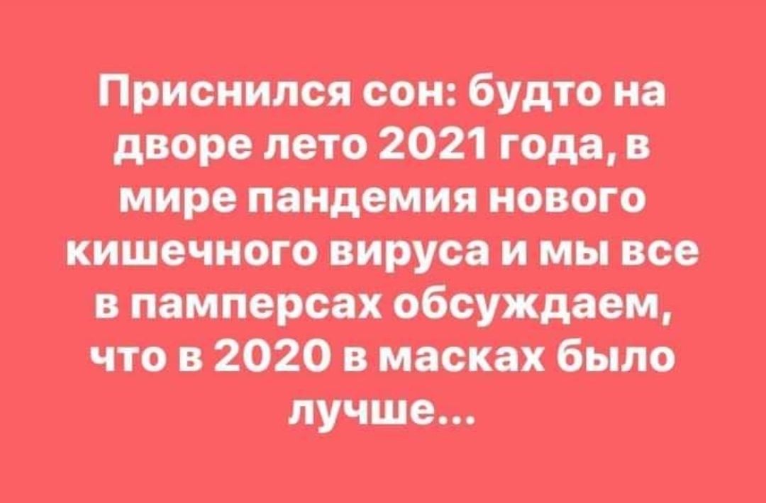 Мишпатим стая пшш им6