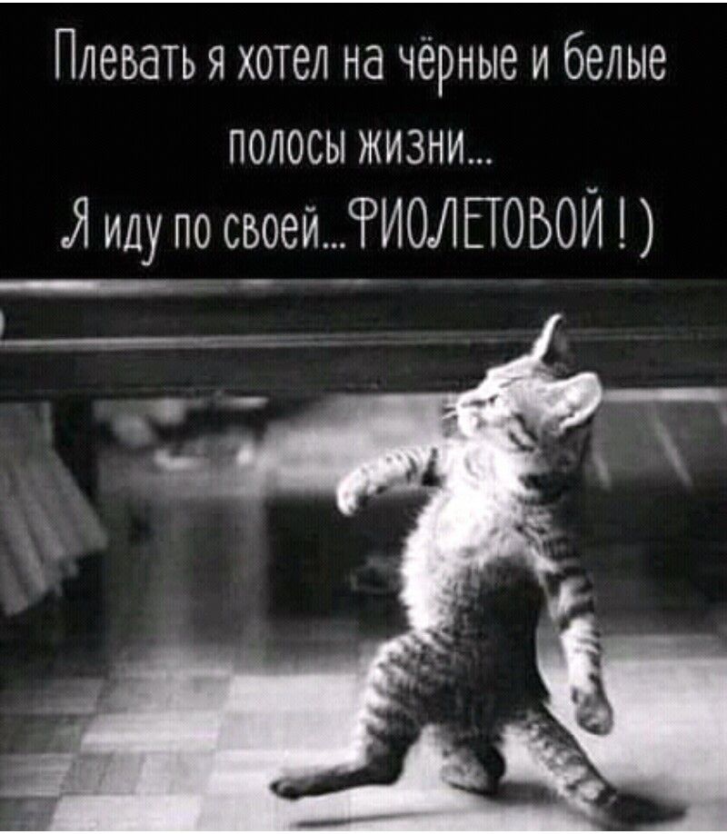 Плевать я хотел на чёрные и белые ПОЛОСЫ ЖИЗНИ Я иду по своейИОЛЕТОБОИ