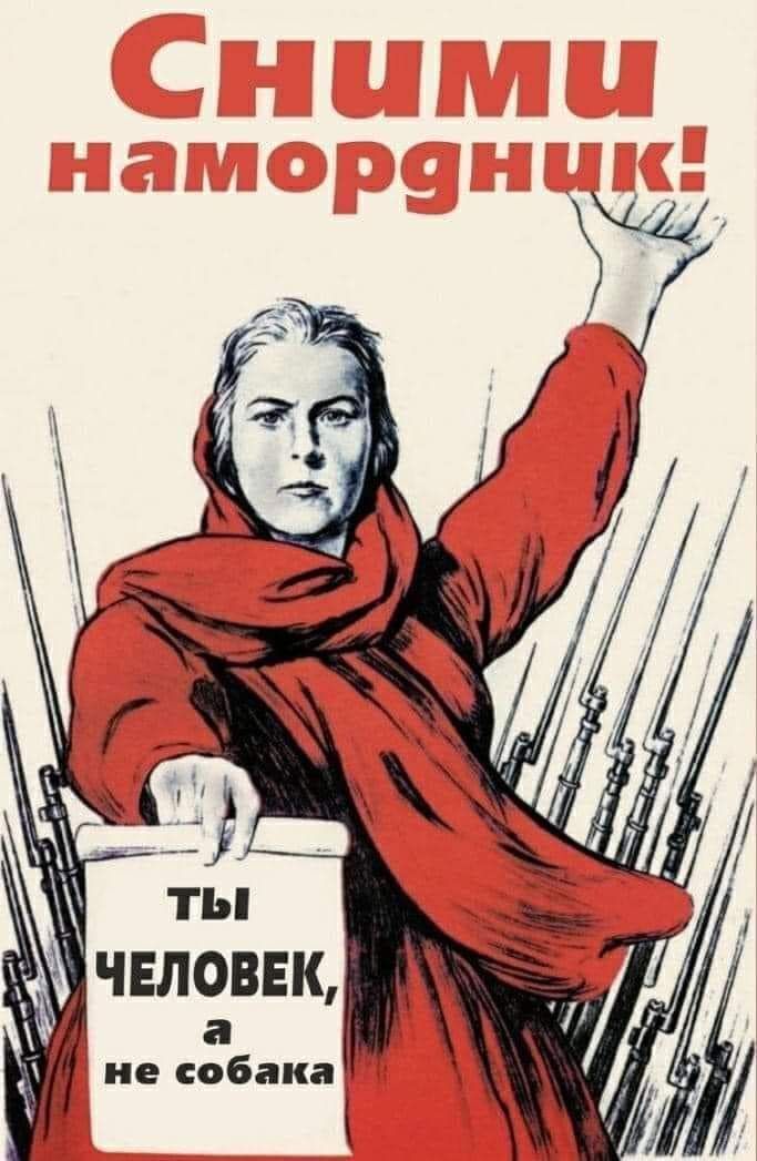 ты жд чвловвк 3 а не собака
