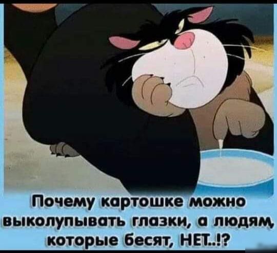 Почему картошке можно выколупывать гпозки о людям которые бесят НЕ