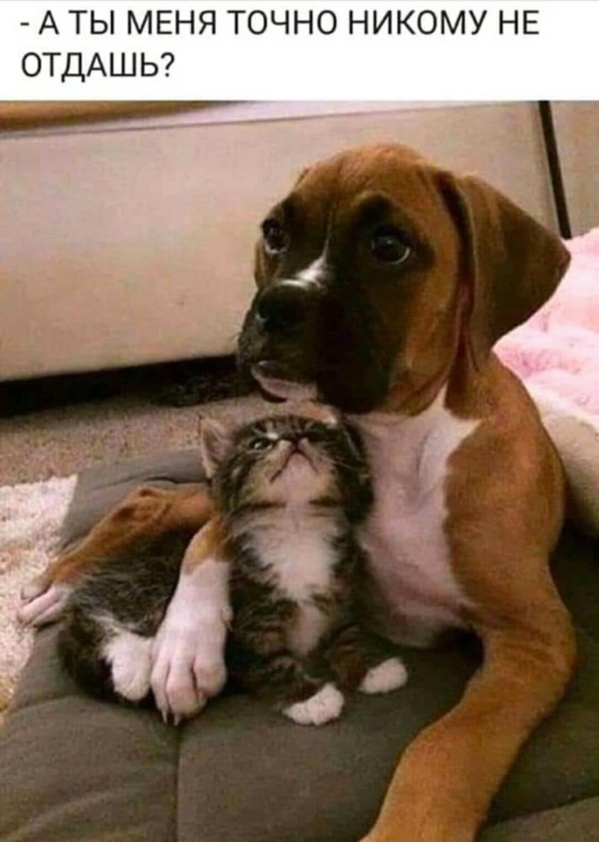 А ты МЕНЯ точно никому НЕ ОТДАШЬ