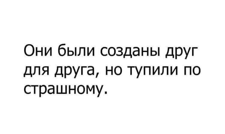 Они были созданы друг для друга но тупили по страшному