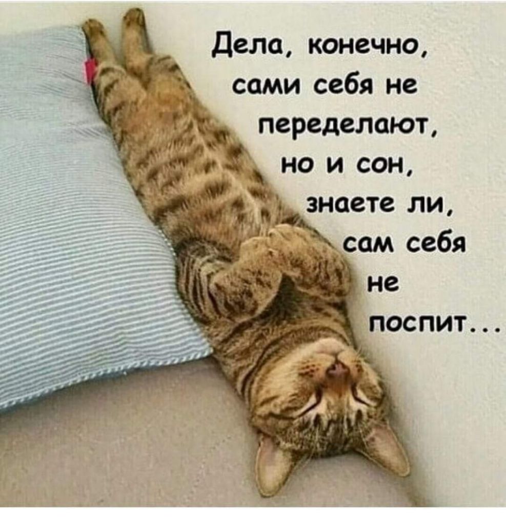 к переделают но и сон знаете ли _сам себя
