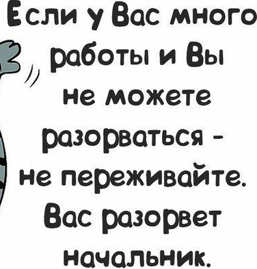 Если у Вас много В работы и Вы не можете разорваться не переживайте Вас разорвет НОЧОЛЬНИК