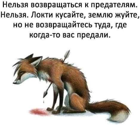 Нельзя возвращаться к предателям Нельзя Локти кусайте землю жуйте но не возвращайтесь туда где когда то вас предали