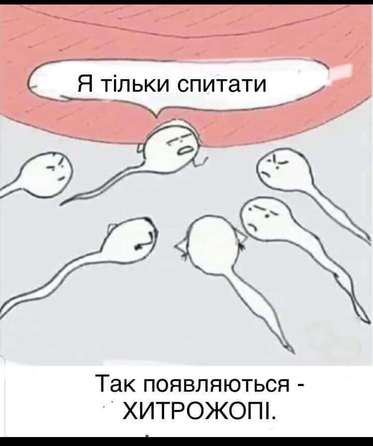 Я тільки спитати Ь _ _ Так появляються ХИТРОЖОПі