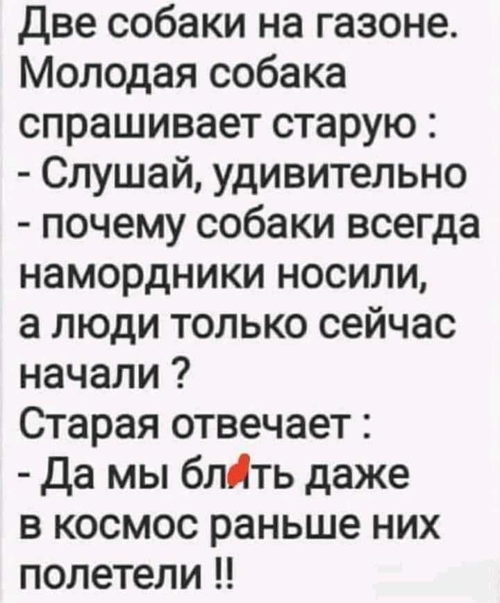 Две собаки на газоне Молодая собака спрашивает старую Слушай удивительно почему собаки всегда намордники носили а люди только сейчас начали Старая отвечает Да мы блдть даже в космос раньше них полетели