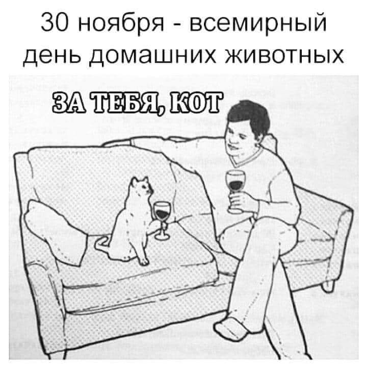 30 ноября всемирный день домашних животных 331 ТЕБЯ
