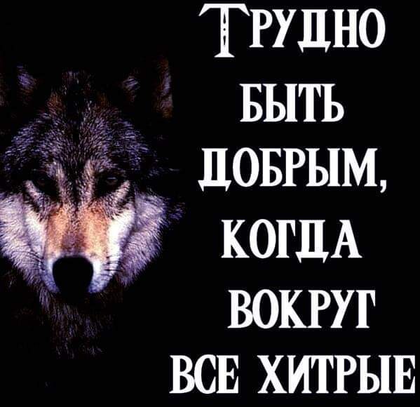 ТРУДНО _ БЫТЬ ЦОБРЫМ КОГДА юКРУГ ВСЕ хИТРЫЕ