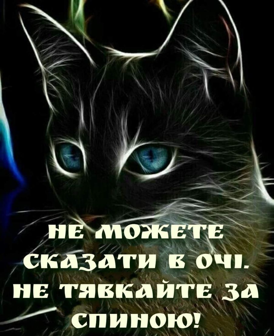 нёмояё бкбздти поі нв тяВкайтЁ за спиноіо