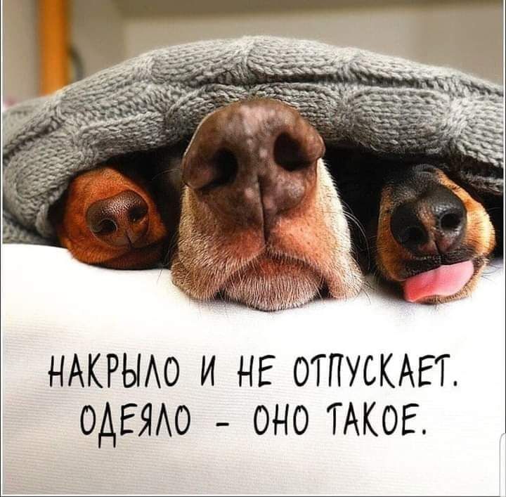 НАКРЫАО и нг ОТПУСКАЕТ ОАЕЯАО _ оно ТАКОЕ
