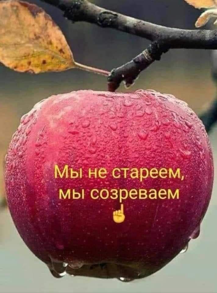 неастареем МЫ СОЗРЭВЭЭМ