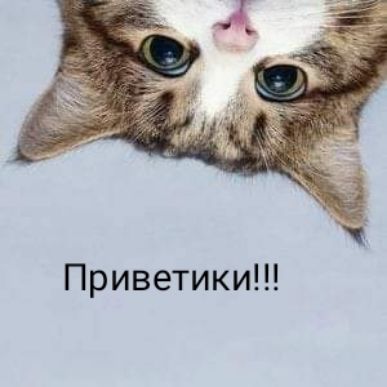 Приветики