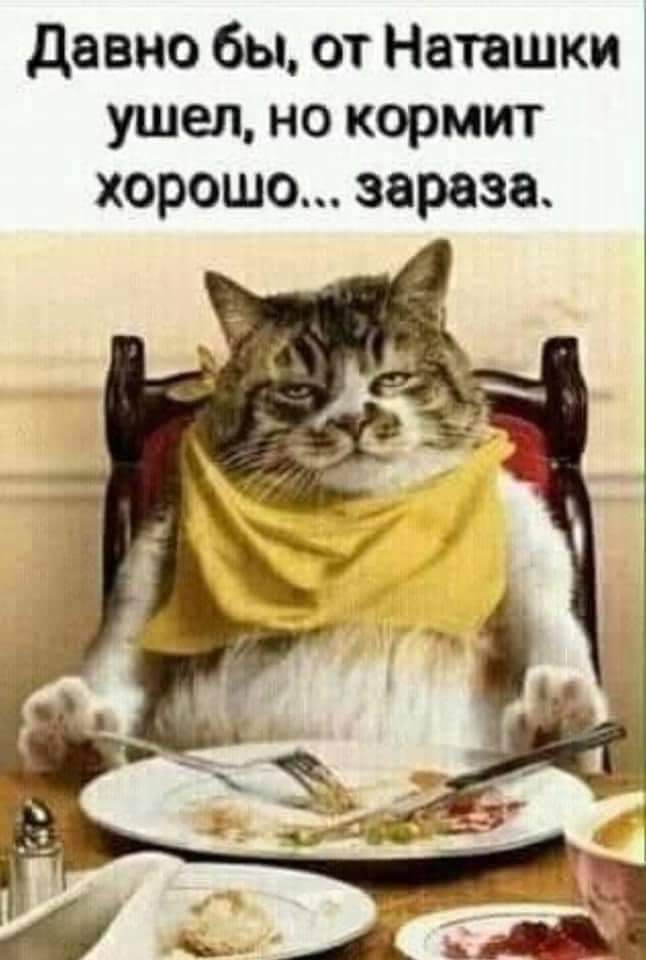 давно бы от Наташки ушел но кормит хорошо зараза