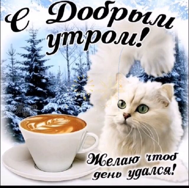 _ _ЗКоешіа ден удался