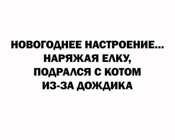 НОВОГОДНЕЕ НАСТРОЕНИЕ НАРЯКАЯ БАКУ ПОДРААОЯ С КОТОМ ИЗ ЗА АОЖАИ КА