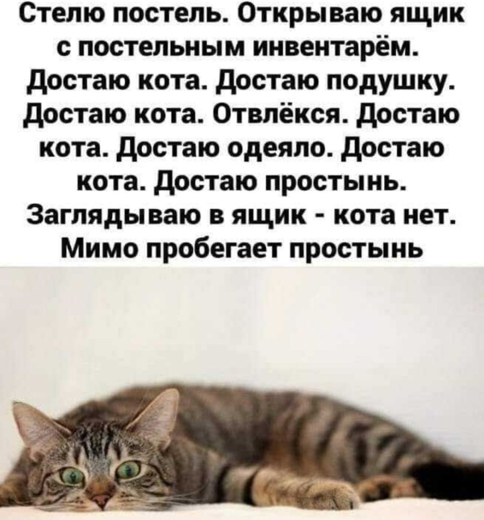 Стелю постель Открываю ящик с постельным инвентарем достаю кота достаю подушку достаю кота Отвлёкся достаю кота достаю одеяло достаю кота достаю простынь Заглядываю в ящик кота нет Мимо пробегает простынь