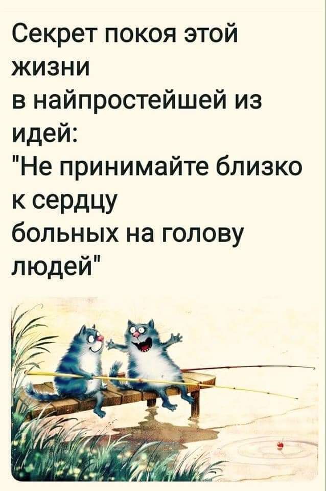 Секрет покоя этой жизни в найпростейшей из идей Не принимайте близко К сЭРдЦУ больных на голову людей