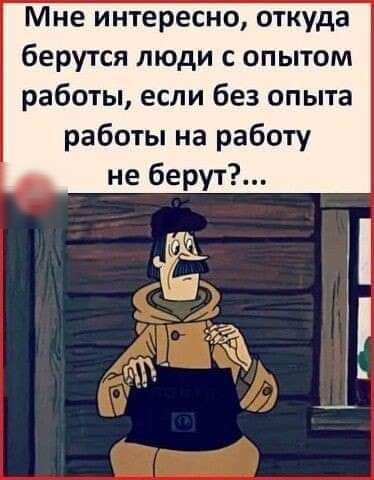 Мне интересно откуда берутся люди с опытом работы если без опыта работы на работу не берут