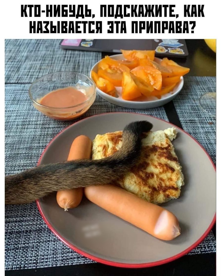КТП НИЕЕЩЬ ППДШШЖИТЕ НПЗЫВПЕТЕП ЭТП ПРИПРПВП