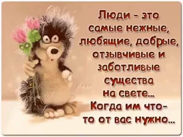 Люди аш суще нежные 1 любящие зебры ЧТЗЫВЛИВЬЮ И заботливые существа НО свете Когда им что ТО ОТ ВОС нужно