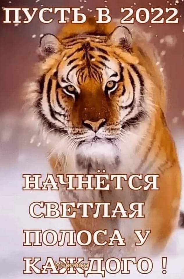 ПустЁ в 20227 д