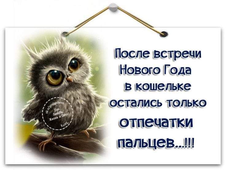 1Шаспе встречи давало Гада зв катать ке іШдПЫЦВ _ЦШ