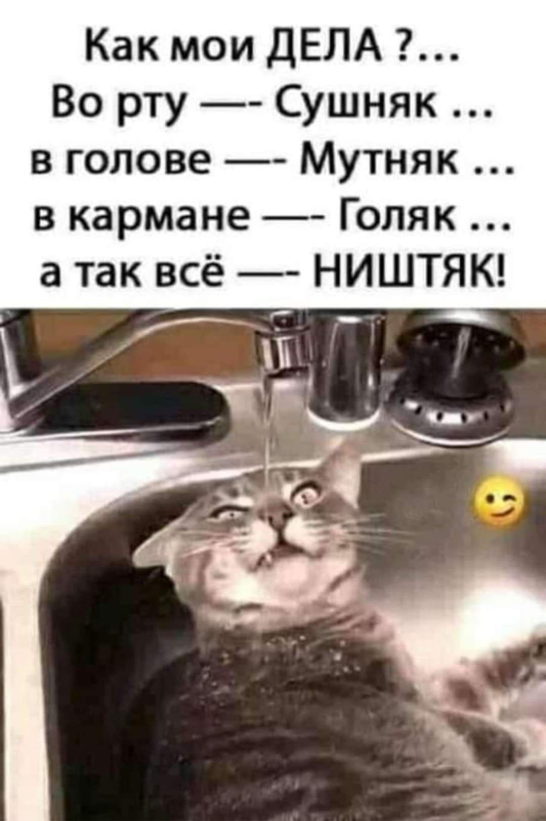 Как мои ДЕЛА Во рту Сушняк в голове Мутняк в кармане Голяк а так всё НИШТЯК _ _