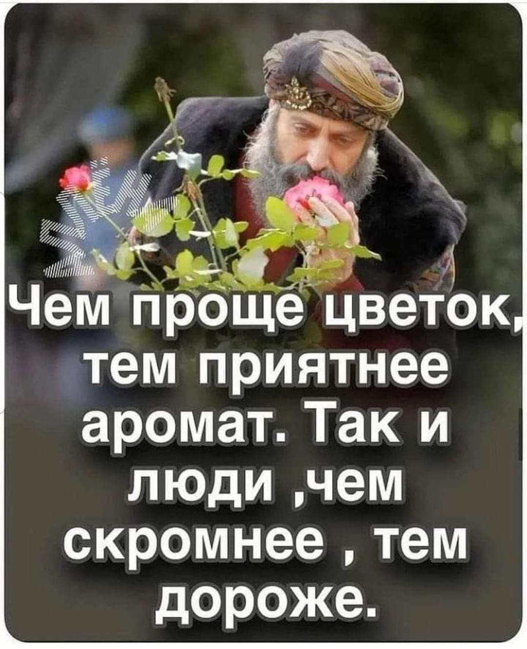 331 73 Чем проще цветок тем приятнее аромат Так и люди чем скромнеетем дороже
