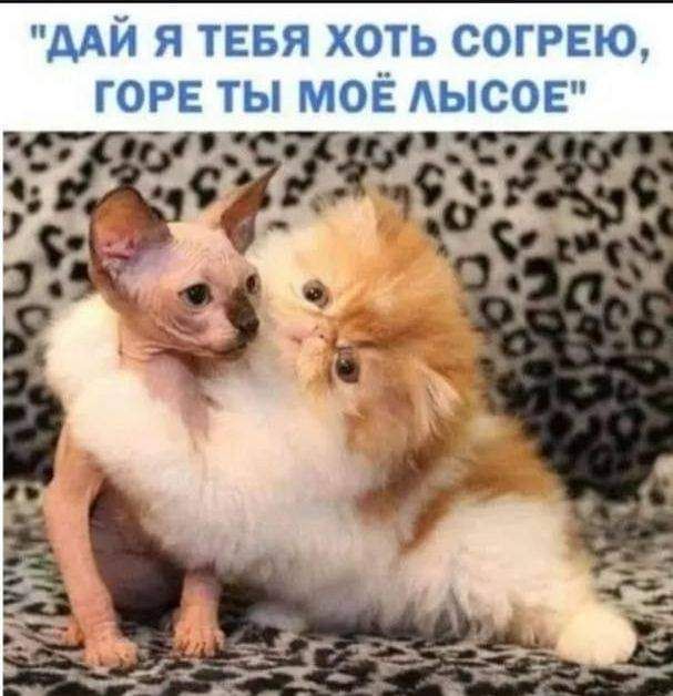 дАй я тевя хоть СОГРЕЮ горе ты моё АЫСОЕ