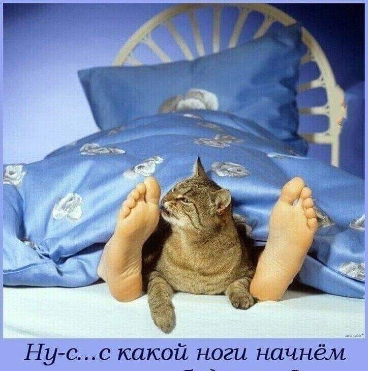 Нусс какой ноги начнём