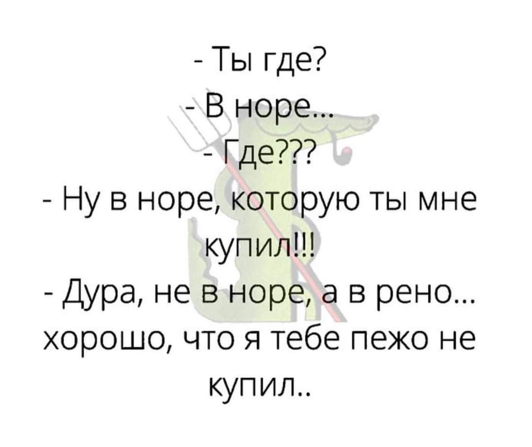 Ты где В норе Где Ну в норе которую ты мне купил Дура не в норе а в рено хорошо что я тебе пежо не купил
