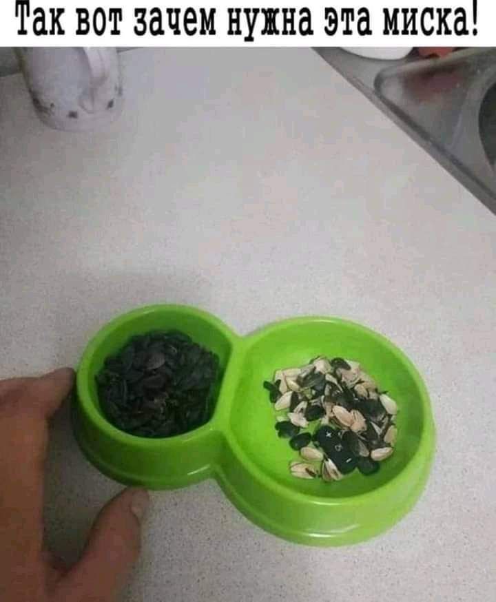 Так вот зачем нужна эта миска р