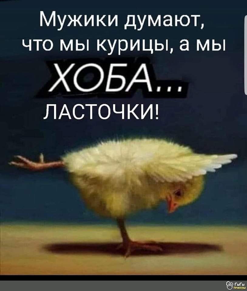 Мужики думают что мы курицы а мы ХОБА ЛАСТОЧ КИ